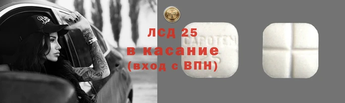 прущие крисы Елабуга