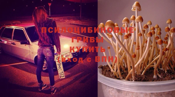 героин Ельня