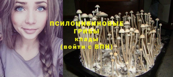 бутират Гусев