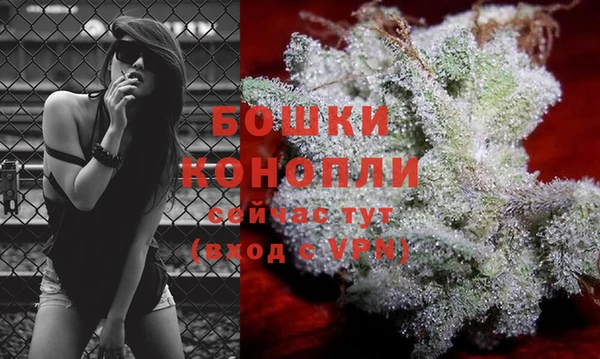 прущие крисы Елабуга